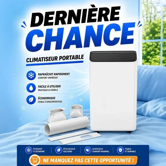 Climatiseur portable réversible - FINLUX - 12000 Btu